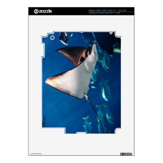Manta ray floating underwater among other fish iPad 3 decals