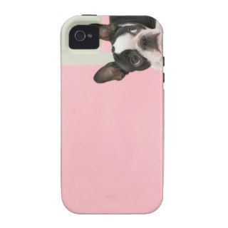 Dog on chair Case Mate iPhone 4 case