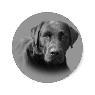Labrador Retriever Awesome Sticker