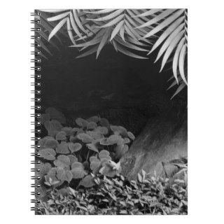 Palm Fronds Hanging Above Ground Cover Spiral Notebooks