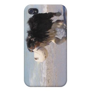Border Collie   Soccer Anyone? Cover For iPhone 4