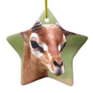 Deer Gerenuk Central Ethiopia Christmas Tree Ornaments