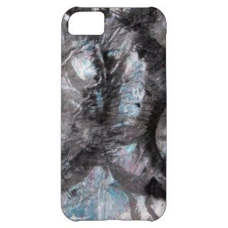 Enso Collage   mixed media iPhone 5C Cases