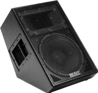 EAW SM129Z 12" 2 Way Stage Monitor Musical Instruments
