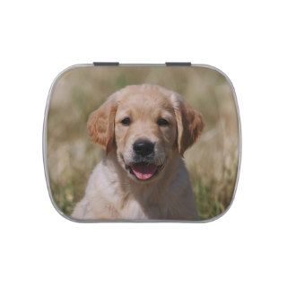 Portrait Golden Retriever Welpe Puppy Jelly Belly Candy Tin