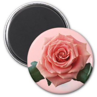 Beautiful 'Pink Rose' Flower Refrigerator Magnets