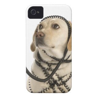 IPhone 4/4S case yellow lab wrapped in phone cord