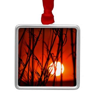 Sunset behind the bamboo christmas tree ornaments