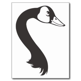Serious Canada Goose Bird in Black and White Postcard