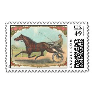 Harness Racing Stamps