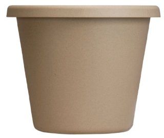Akro Mils LIA08000A34 Classic Pot, Sandstone, 8 Inch  Planters  Patio, Lawn & Garden