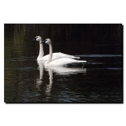 Kurt Shaffer 'Twin Swans' Canvas Art Trademark Fine Art Canvas