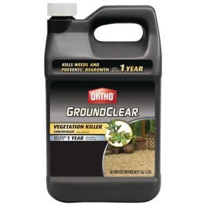 Ortho 1 gal. Concentrate Ground Clear Vegetation Killer 0430510