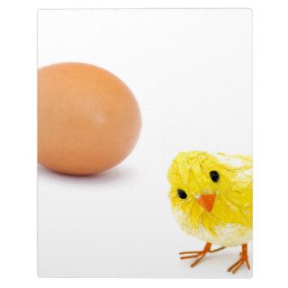 what came first the chicken or the egg? photo plaque