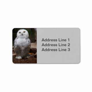 Snowy Owl  Photo Label