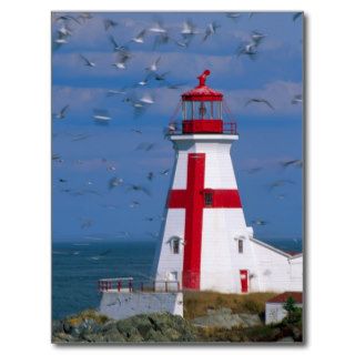 NA, Canada, New Brunswick, Campobello Island. 8 Post Cards