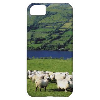 Sheep, Benbulben, Co Sligo, Ireland iPhone 5C Cases