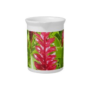 Beauty and peace flower red plant nature pitchers