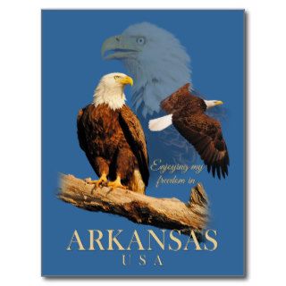 Arkansas Patriot Eagle Montage Post Cards