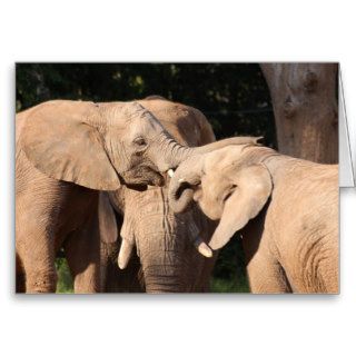 Elephant Love Greeting Card