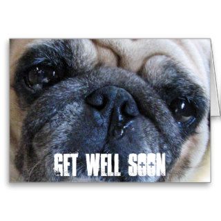 Get Well Soon Sick Pug Dog Greeting Cards