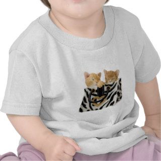 Cute Kittens in Zebra Print Handbag T Shirts