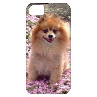 iPhone 5 Barely There  Pomeranian Pink Flowers iPhone 5C Covers