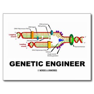 Genetic Engineer (DNA Replication) Post Cards