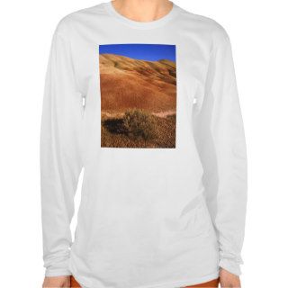 Oregon's Painted Hills Tshirt
