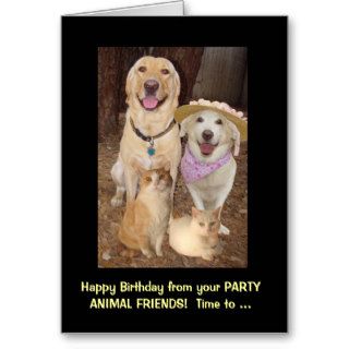 Funny Birthday Group Cards