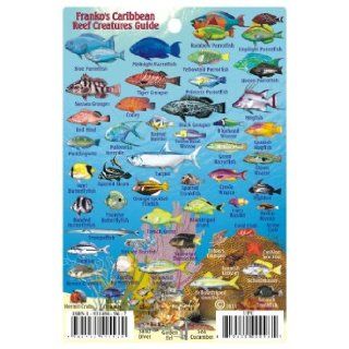 Caribbean Sea Reef Creatures Guide Laminated Fish Card (4" x 6") Franko Maps Ltd. 9781931494960 Books