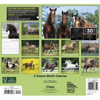 2012 Horses Wall Calendar Mead 9781423810476 Books