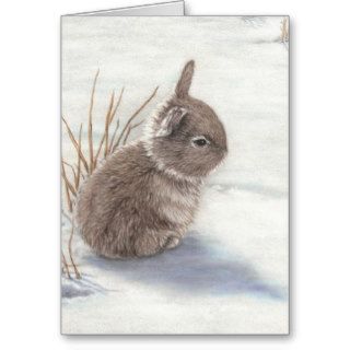 Snow Bunny Season's Greeting Card