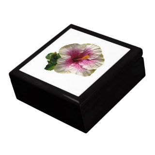 Hibiscus Candy Striper Gift Boxes