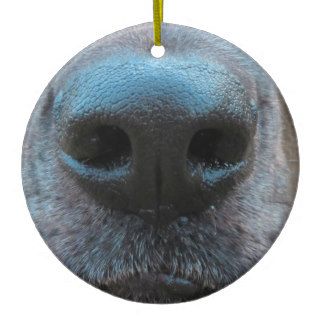 Weird Humorous Dog Nose Christmas Ornament