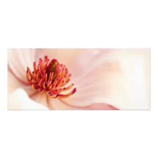 Pink Magnolia Background Customized Template Custom Announcements