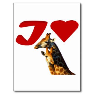 I love giraffe II Postcards