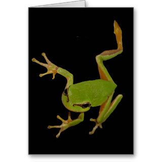 Green Tree Frog Isolated Greeting Card