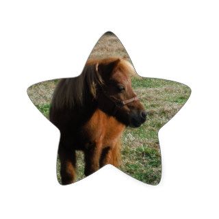 Brown Miniature Horses Star Stickers