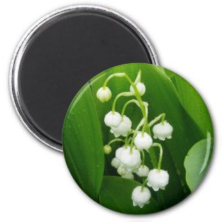 White Flowers Lily of the Valley Magnet