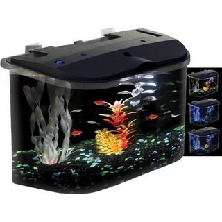 KollerCraft AquaView 15005 Rounded 5 Gallon Aquarium Kit Kollercraft Fish Tanks