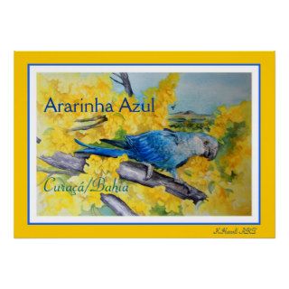 Spix's Macaw or Ararinha Azul/Curaçá Art Poster