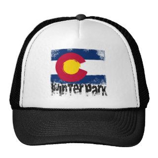 Winter Park Grunge Flag Hat