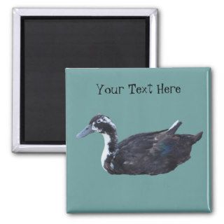 Cute Black Duck Farm Animal Magnet