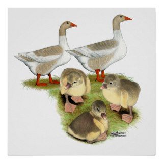 Pomeranian Goose Family Posters