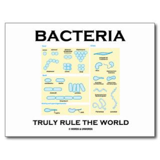 Bacteria Truly Rule The World (Morphology) Post Card