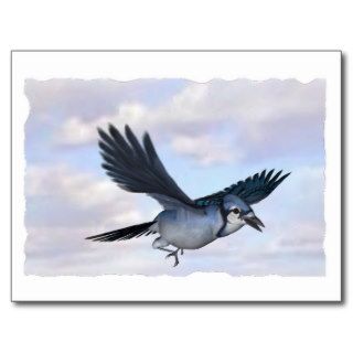 blue jay flying high post cards