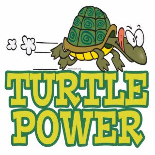turtle power cute turtle cartoon photo cut outs