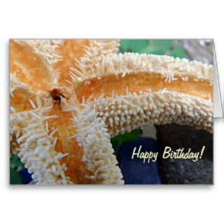 Starfish on Beach Glass Birthday Card