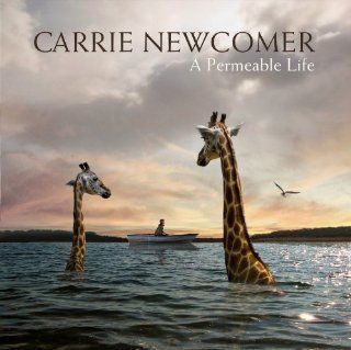 A Permeable Life Music